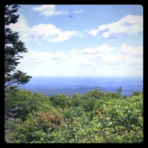 Meet your Posher, Lianna